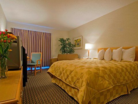 Comfort Brantford