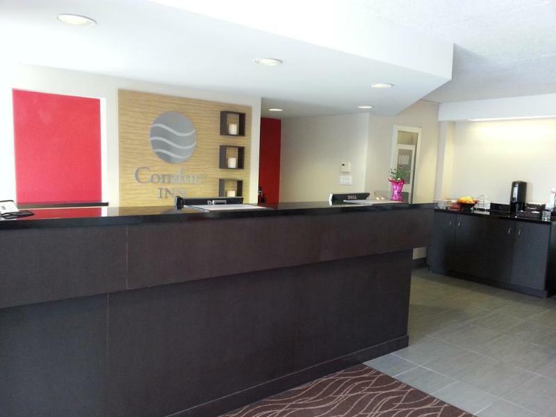 Mini-hôtel Comfort Brantford
